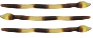 ROSSINI FINEX KG.3 LUCIDI PITONE COLA